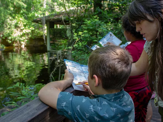 A mother helps her son with a Zoo Trekker activity at the alligator habitat.