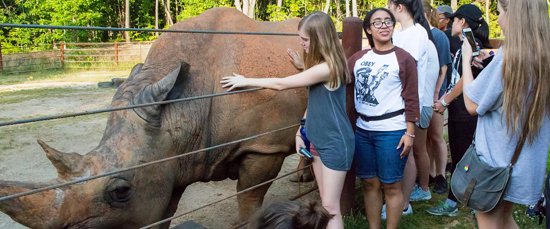 Zoo Tours: Family Activities for All