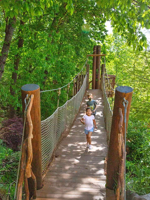 Children walking down the Kidzone Tree Top trail