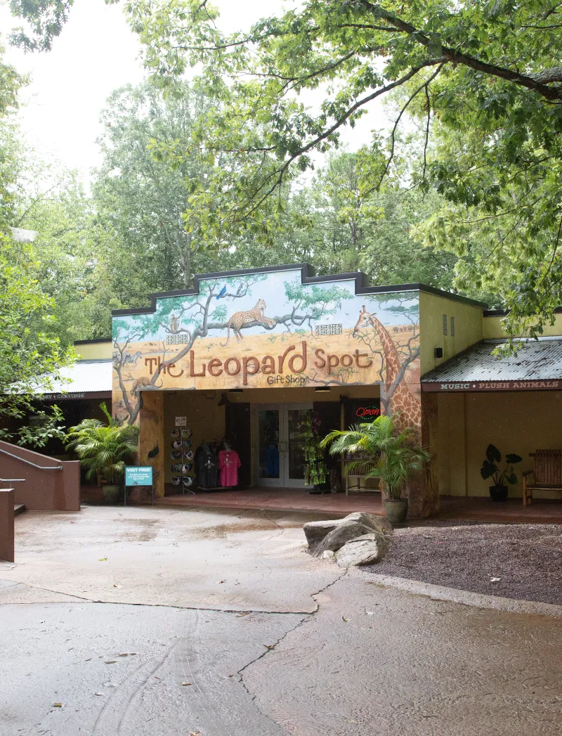 Leopard Spot gift shop
