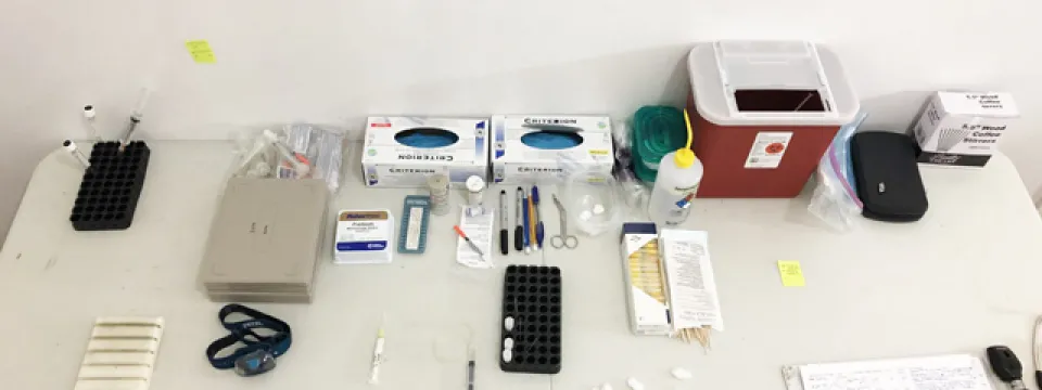 Hospital prep for incoming birds set up on a white table. The set up includes latex gloves, headlamps, plastic bottles, scissors, and syringes.