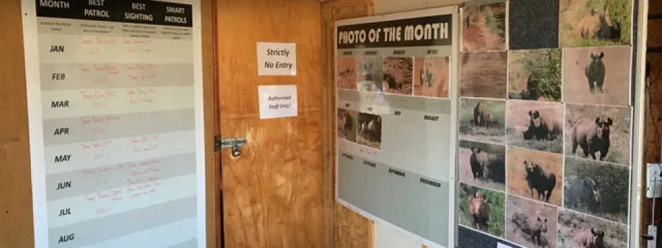 A bulletin board titled "RHINO MONITORING AWARD BOARDS" is affixed to a wooden beam. To the left, a chart labeled "BEST OF RHINO MONITORING" lists months and categories such as "DATE," "NUMBER," "HEADING," and "REMARKS." To the right, another section titled "PHOTO OF THE MONTH" displays numerous small photographs of rhinos in their natural habitat. A wooden door with signs is visible in the background.