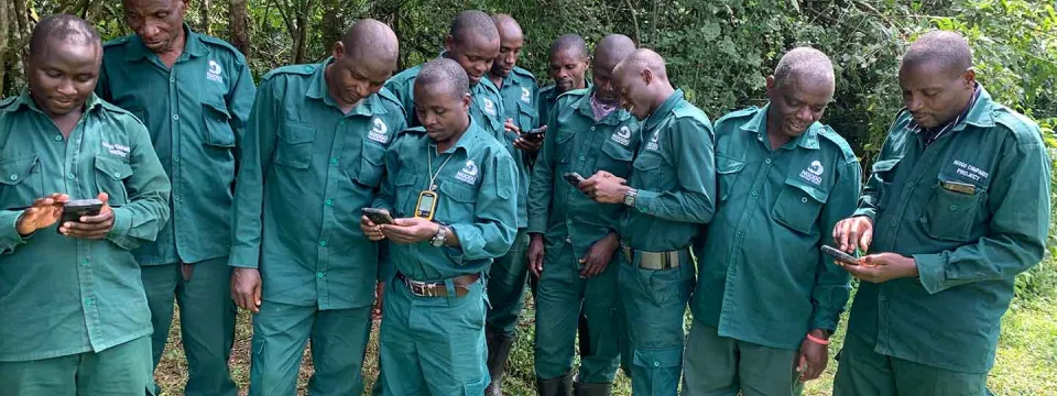 A group of men, possibly Rangers from the Ngogo Chimpanzee Project, are outdoors, wearing green uniforms and looking at their phones.