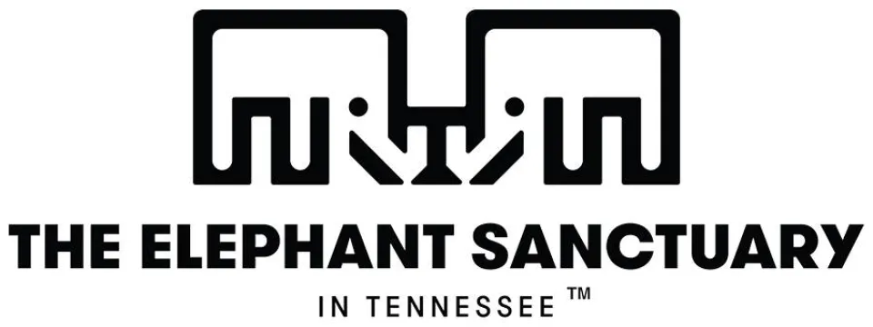 A black and white logo for "The Elephant Sanctuary in Tennessee." The image features a bold, graphic illustration of two elephants facing each other, composed of simple, thick black lines, above the capitalized text "THE ELEPHANT SANCTUARY" and the smaller text "IN TENNESSEE" below it.