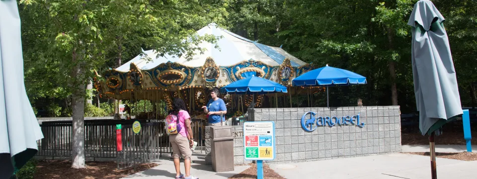 attractions Carousel seasonal staff
