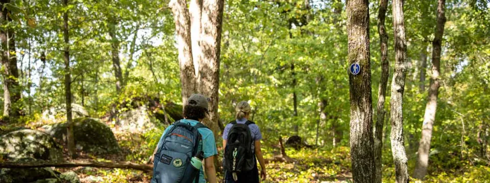 Two hikers on trail in the Uwharrie Mountains showing deep woods and shade.