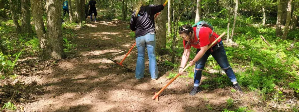 Two people in jeans and t-shirts dig and till the soil of a forest floor, appearing to be clearing a trail through the trees.