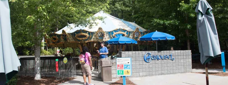 A daytime wide shot of a classic carousel ride with a teal and gold canopy, set within a lush green park area. In the foreground, there are blue picnic tables and umbrellas. A sign to the right of the carousel reads "Carousel," and a person in a pink shirt walks towards the ride.