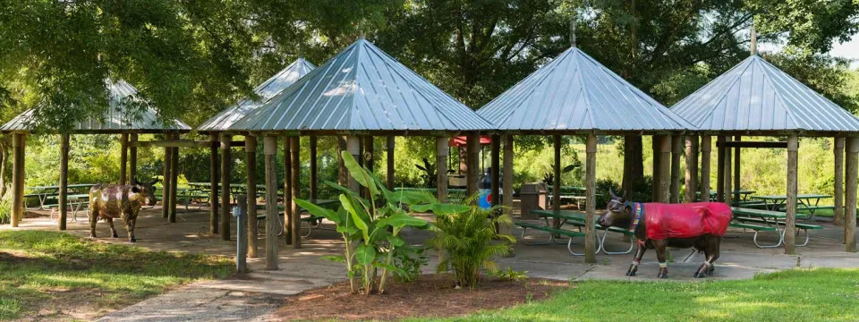Several small picnic shelters with green roofs set together on a cement pad in a shady, wooded area. There is a path leading to them and a large, colorful cow statue flanking either side of the pad.