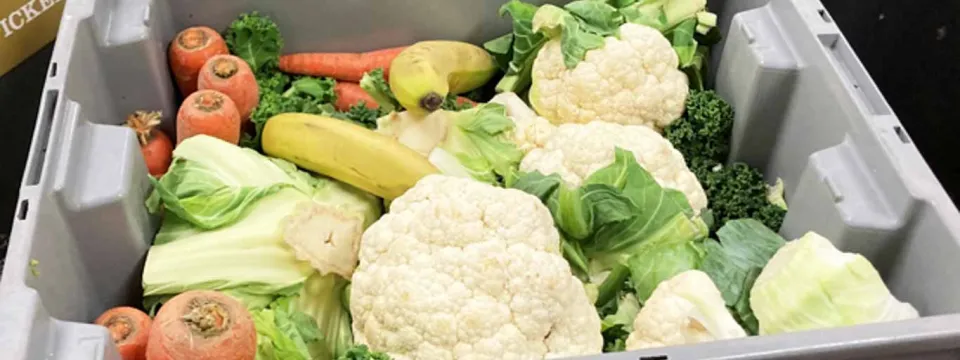 A grey, plastic tub full of various produce including cauliflower, bananas, and carrots. A green five gallon bucket and several cardboard boxes are visible in the background.