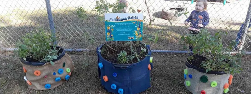 A children's pollinator garden or planting station set up outdoors on grass. In the foreground, three cloth planters are visible, each decorated with colorful plastic rings or bottle caps. The planters hold small shrubs or herbs. A sign is placed in the center planter, titled "Pollinator Station," with educational text about bees and butterflies. In the background, a small blonde child is standing behind a chain-link fence, observing the display.
