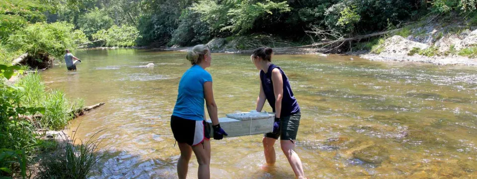Two women in athletic shorts wade into a wide natural stream carrying a long, flat white box. The stream is surrounded by trees and foliage.