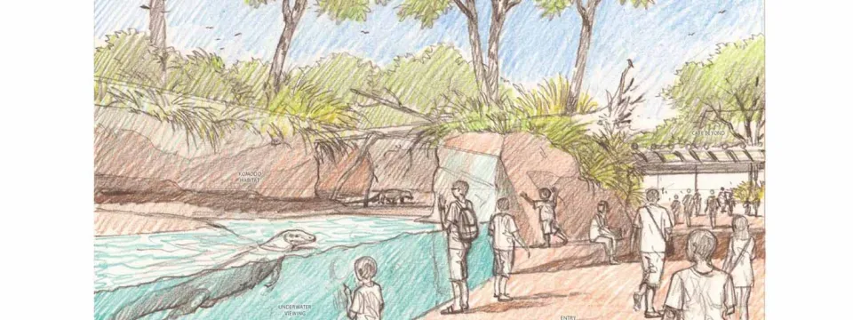 A colored pencil sketch showing a proposed zoo exhibit. In the foreground, a large komodo dragon is visible swimming in a pool with a transparent glass viewing wall. Several people are looking at it. The exhibit is designed to look like a natural habitat, with trees, rockwork, and dense foliage.