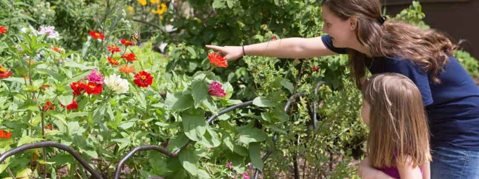 A young woman is leaning down and pointing out a red and orange zinnia flower to a small child in a brightly lit, colorful garden.