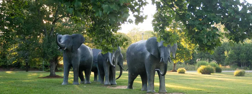 Four life-sized bronze statues of an Elephant herd. The animals are rendered in motion, appearing to walk and raise their trunks in the air.
