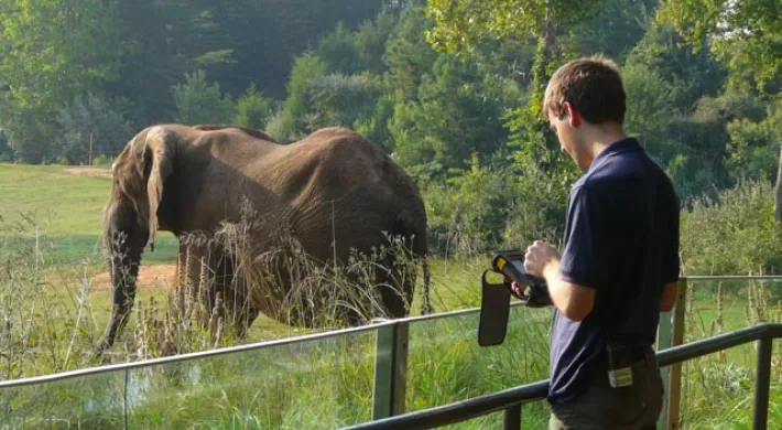A person taking notes on a handheld device in the guest overlook watching an elephant.
