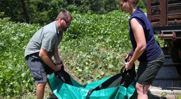 Two wildlife workers (a man and a woman) in casual outdoor gear are lifting and moving a large, specialized green animal containment bag near a truck and dense green foliage.