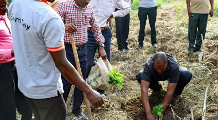A group of about eight men are gathered in a field, participating in a tree-planting event. In the center foreground, a man in a black shirt is kneeling to plant a small green seedling in the dirt. Another man wearing a grey t-shirt with orange trim, stands nearby holding a shovel. Several other men are standing around, observing or assisting. The ground is rough, loose earth, and the background shows trees and foliage, suggesting an outdoor effort related to conservation.