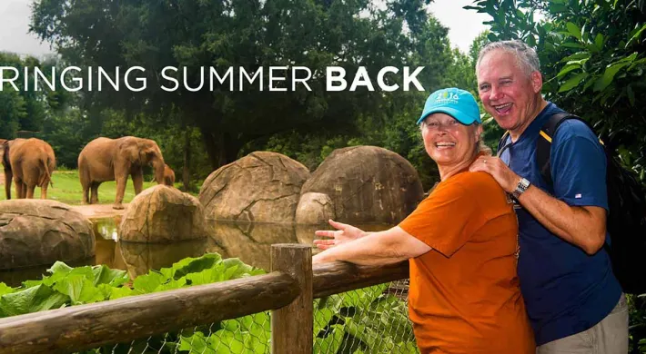 A older man and woman stand posing together leaning on a wooden handrail and looking back at the viewer. Behind them is a large savanna habitat with two African Elephants standing next to a small pond and several large boulders. White text in the top left corner reads "Bringing Summer Back."