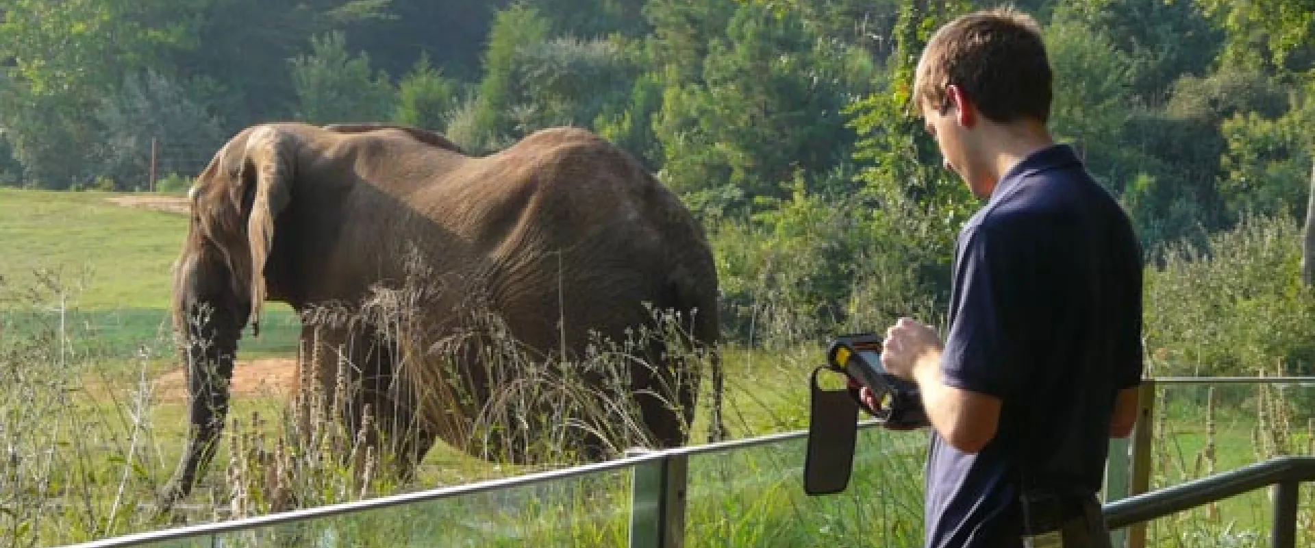 A person taking notes on a handheld device in the guest overlook watching an elephant.