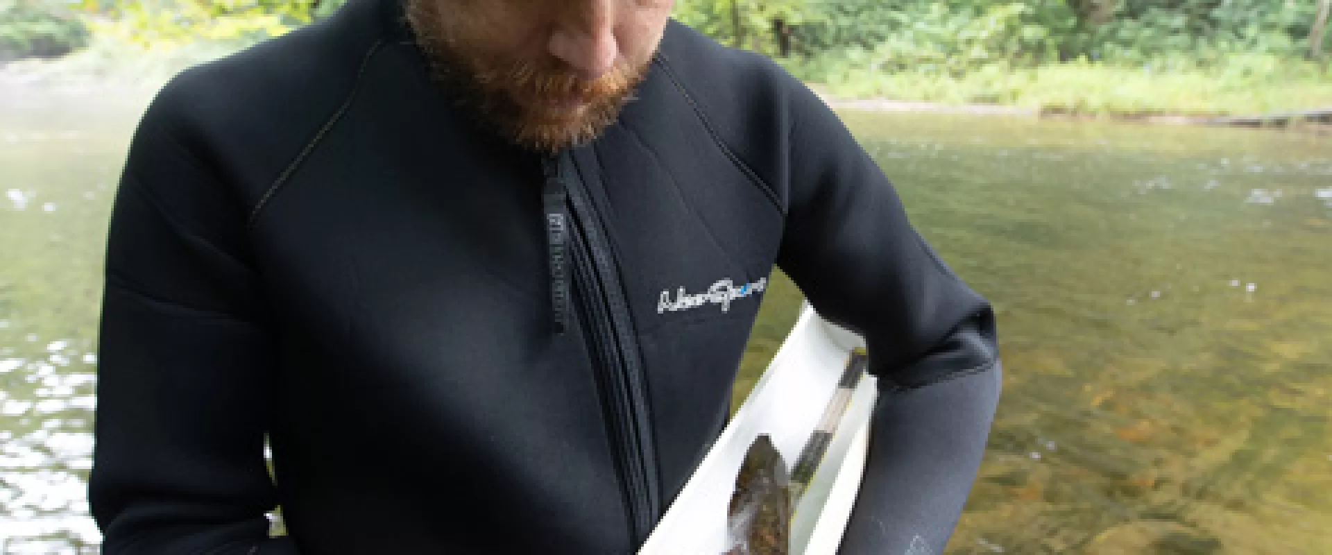 Cold-blooded Conservation: Homes for Hellbenders - If you build it, will they come?