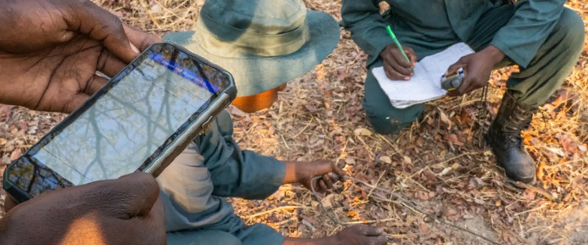 Three individuals appear to be rangers engaged in fieldwork within a dry, grassy environment with scattered trees. One person, whose hands are prominently featured in the foreground, is holding a smartphone displaying a tracking application. Another individual, wearing a camouflage hat and a long-sleeved green shirt, is kneeling and looking at something on the ground. A third person, also wearing a long-sleeved green shirt and boots, is kneeling and writing on a notepad while seemingly using a compass.