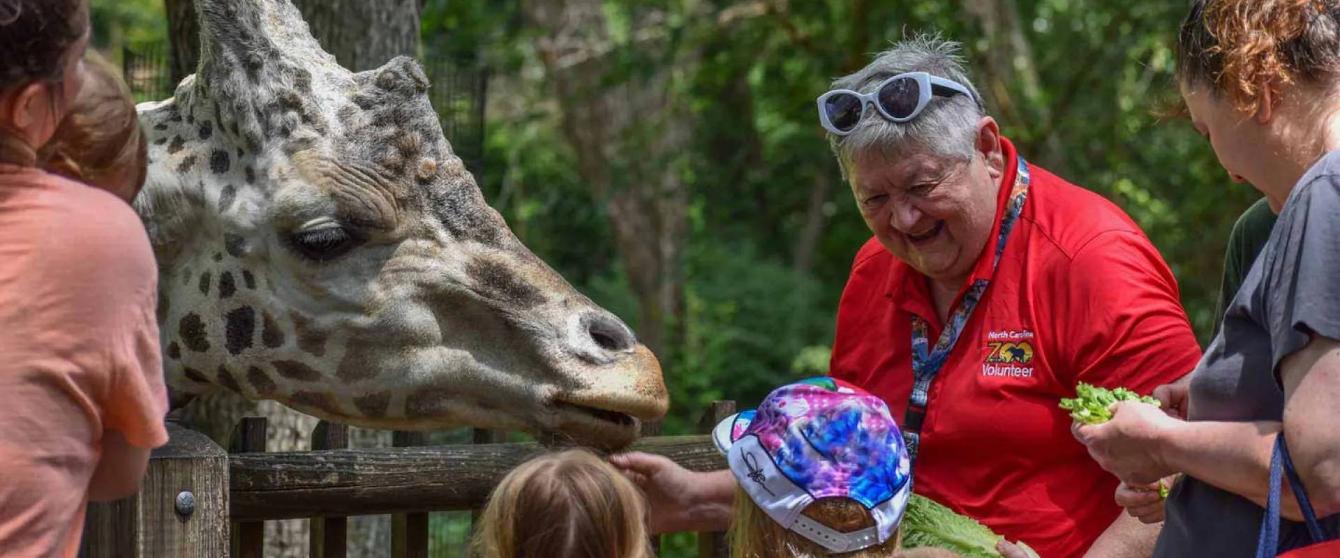Several guests and a zoo volunteer feeding a giraffe some lettuce at the giraffe deck attraction