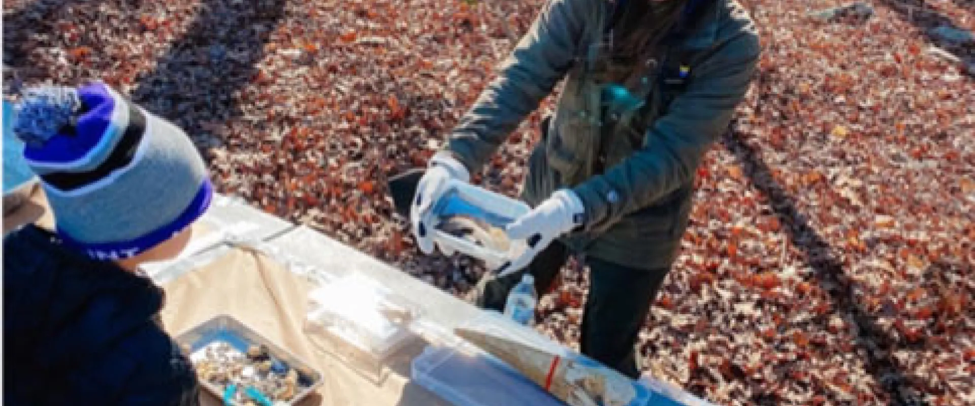 A woman in a navy hoodie and green jacket is standing at a table in a forest, smiling down at two children. She holds a plastic container and appears to be showing them its contents. The ground is covered in brown leaves and the long shadows of trees are visible on the ground.