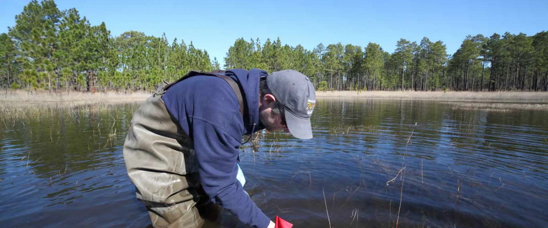 A person wearing a navy sweatshirt and green rubber waders, stands in the middle of a lake lined with trees. They are reaching down towards the water with blue latex gloves and a small container in their hands.