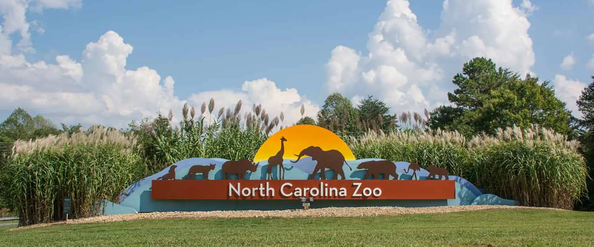 The entrance sign for the North Carolina Zoo is visible, featuring a large, curved sign with "North Carolina Zoo" written across it. Above the text, silhouettes of various animals (including an elephant, giraffe, and bears) are depicted against a yellow sunrise. The sign is set into a grassy mound surrounded by tall reeds and trees under a partly cloudy blue sky.