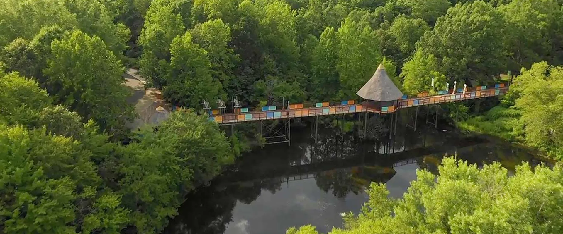 An aerial view of the Akiba Bridge, a long wooden bridge with colorful designs and a pergola in the middle that leads from the parking lot, through dense trees, over a lake and ending at the African entrance of the NC Zoo.