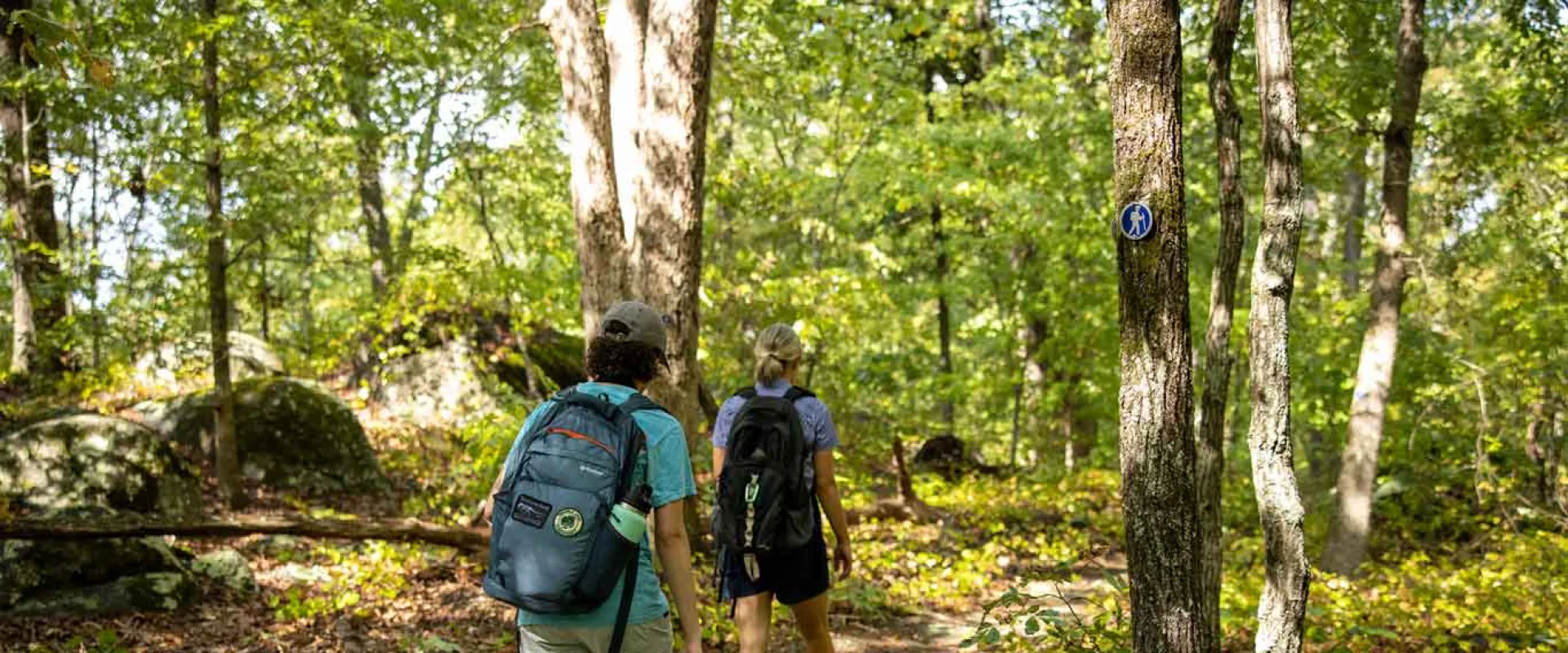 Two hikers on trail in the Uwharrie Mountains showing deep woods and shade.
