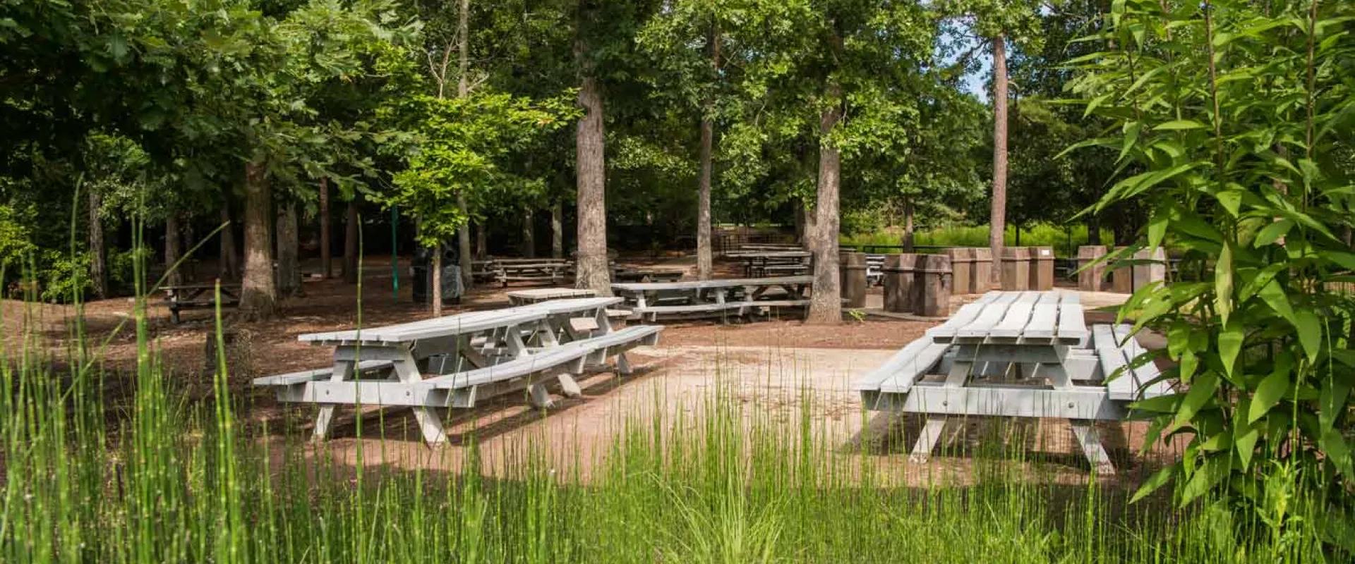 A group of wooden picnic tables on cement pads surrounded by trees and tall grasses. A tall brick wall is visible in the background.