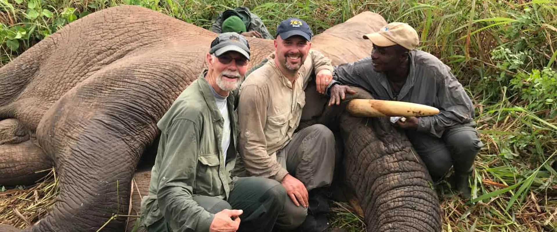 Three men are squatting and posing for a photo next to a sleeping elephant lying on its side in a field of tall grass.. The man on the left is Caucasian with a gray beard and a green cap. The middle man is also Caucasian with a navy cap. The man on the right is Black with one hand on the elephant's tusk. All three men are wearing outdoor clothing.
