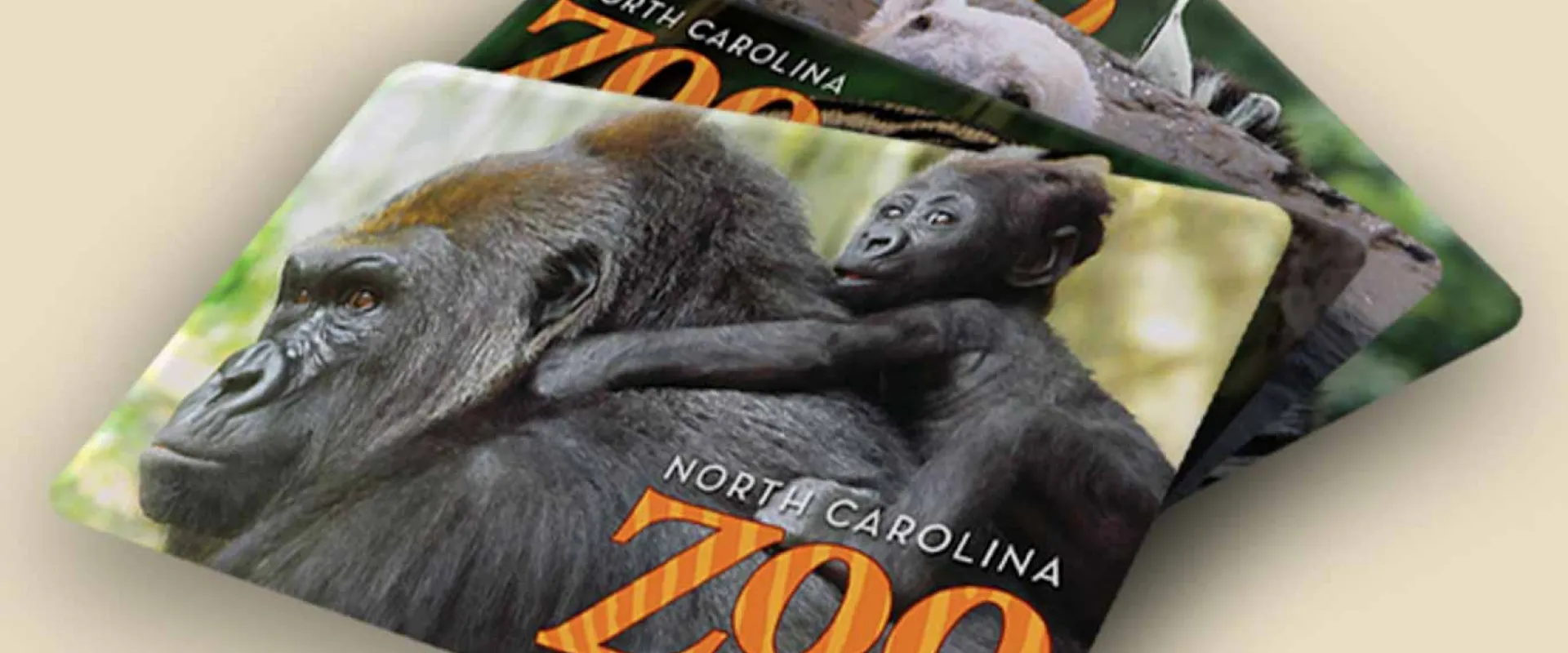 A pile of North Carolina Zoo gift cards lying splayed on a tan surface. On the front of the gift cards is the image of a baby Gorilla riding on its mother's back.