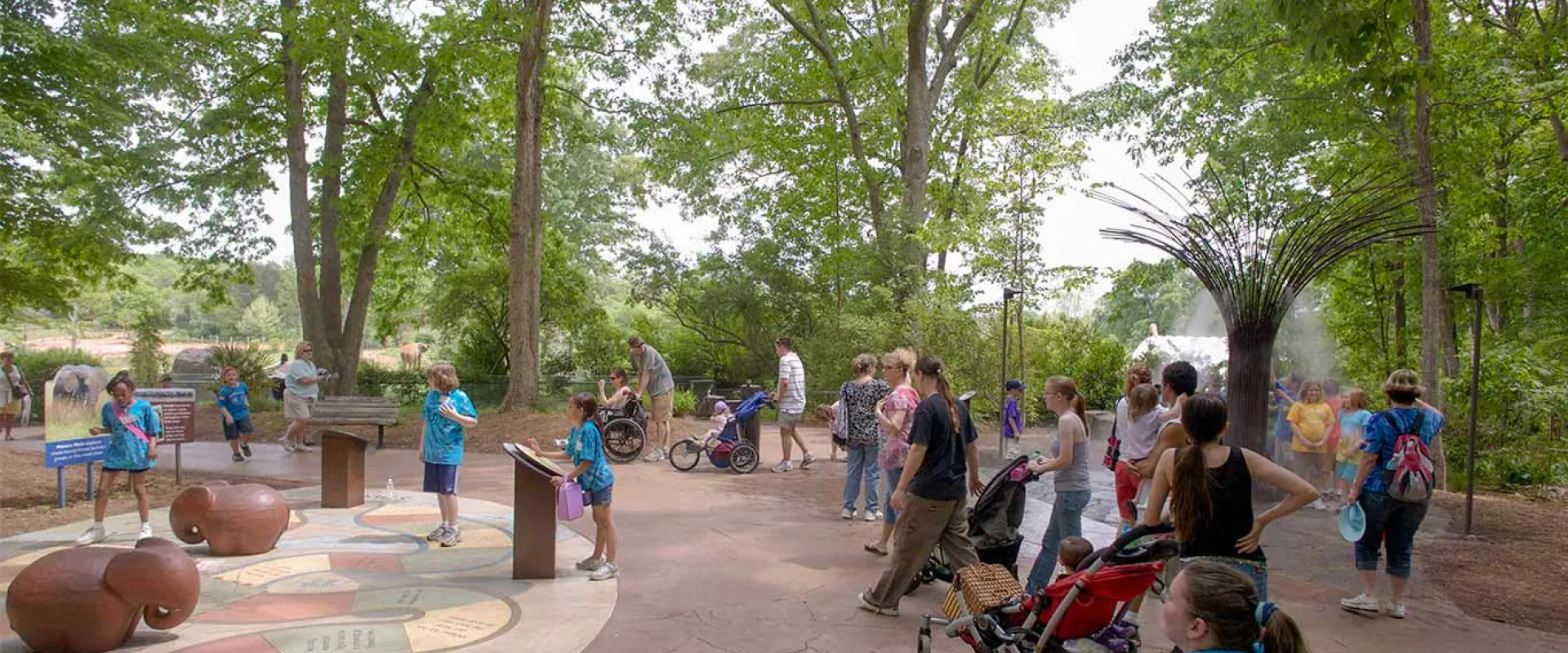 Large group of kids playing at Watani Grasslands on a game called Elephant Tracking,