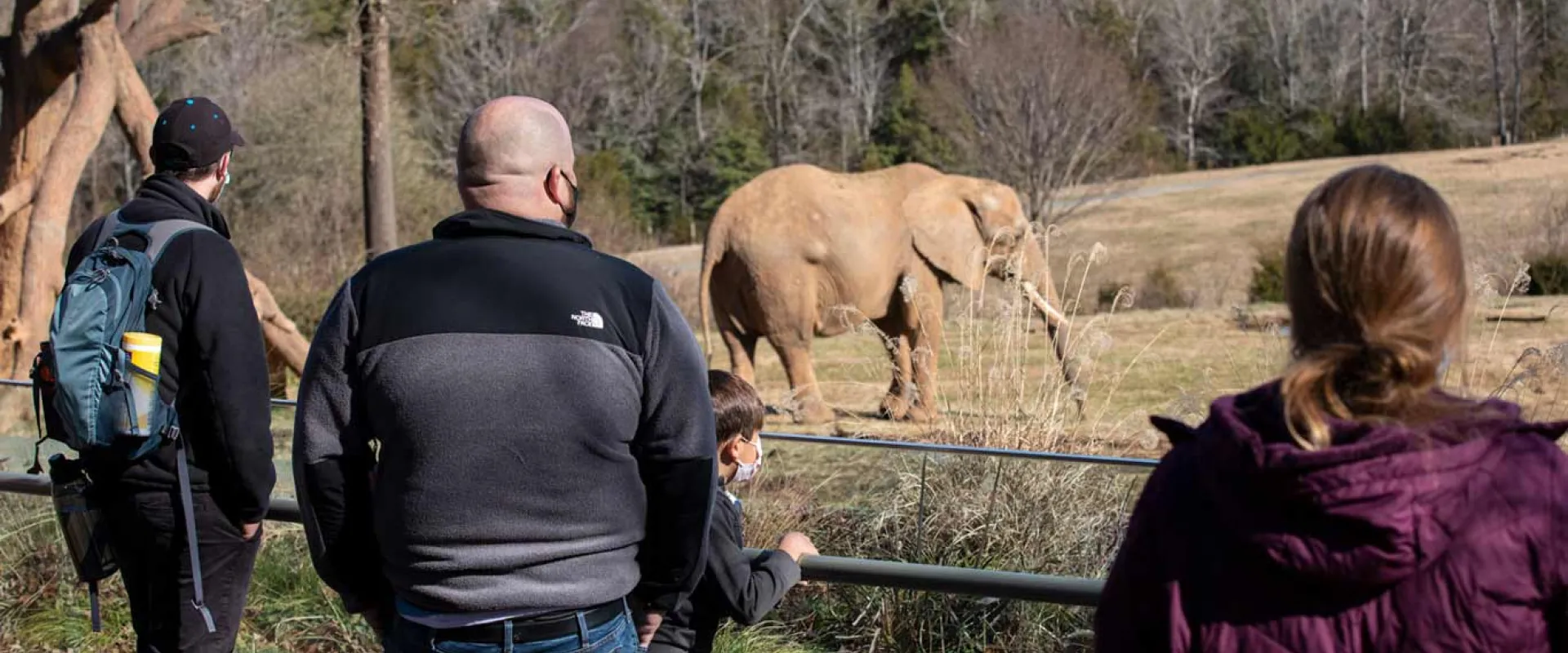 Three people observing a large, light-brown elephant in a dry, grassy outdoor enclosure. The animal is walking in the middle ground, near a large mound of hay or straw. The people—two men and one woman—are looking through a fence or barrier. The background is composed of dry grass, trees, and brownish hills.