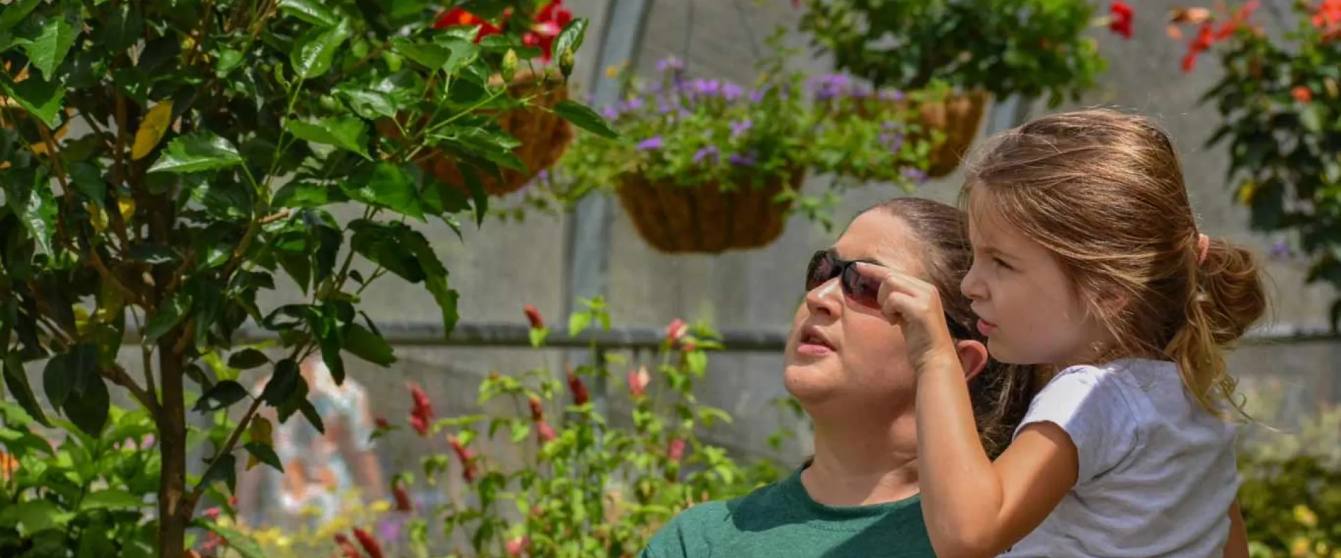 A woman wearing sunglasses and a green t-shirt holds a young girl with blonde hair in a ponytail. Both are looking upwards and seem to be observing something. They are surrounded by lush green and colorful plants, with hanging baskets visible in the background, suggesting they are in a garden or greenhouse.