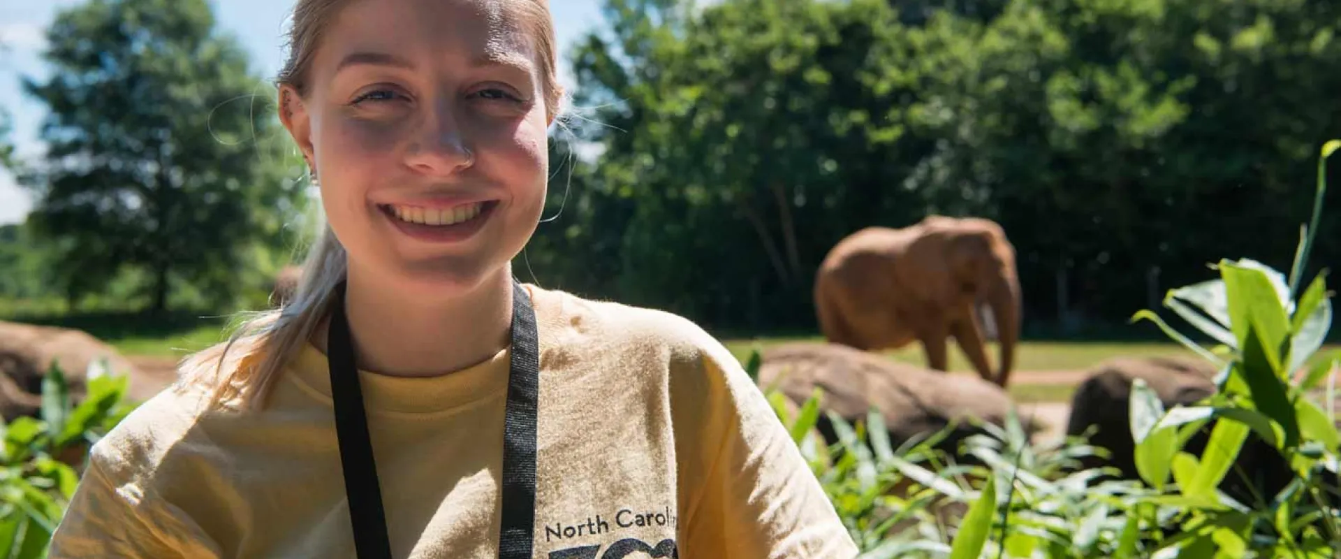 A young woman with blonde hair, wearing a yellow t-shirt that says "North Carolina Zoo Volunteer," is smiling directly at the camera. She is standing outdoors in bright daylight, and a blurred African Elephant is visible in the background, walking near rocks in its enclosure, with lush green trees overhead.