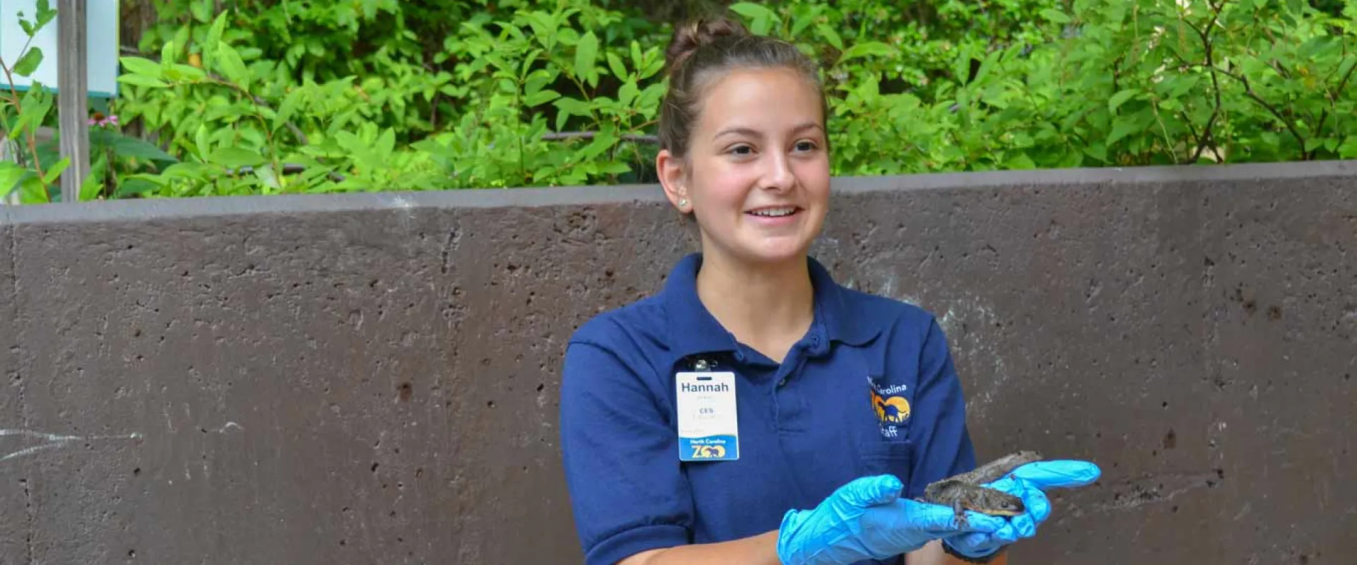 A young female nature or zoo educator, wearing a dark blue polo shirt and blue nitrile gloves, is holding a small, dark amphibian or reptile in her hands. She has her hair pulled back and is smiling while presenting the animal to an unseen audience. She is standing in front of a concrete wall with lush green foliage in the background.