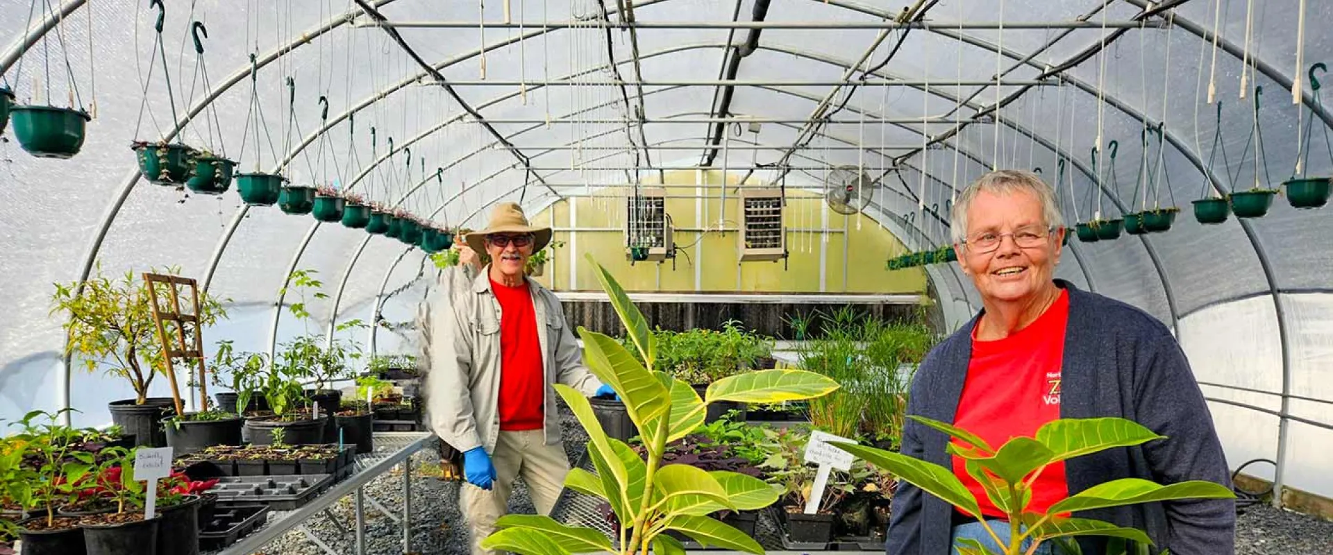 Two volunteers standing among plants in the Zoo's greenhouse