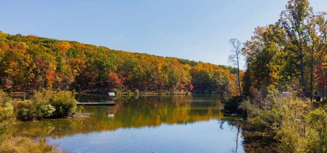 A picturesque view of a lake surrounded by trees and plants, all turning different shades of oranges and yellows for Fall.