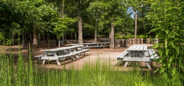 A group of wooden picnic tables on cement pads surrounded by trees and tall grasses. A tall brick wall is visible in the background.