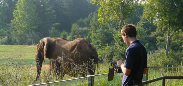 Staff researching at elephant habitat with elephant in the background