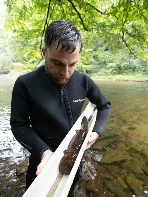 Dustin Smith with hellbender