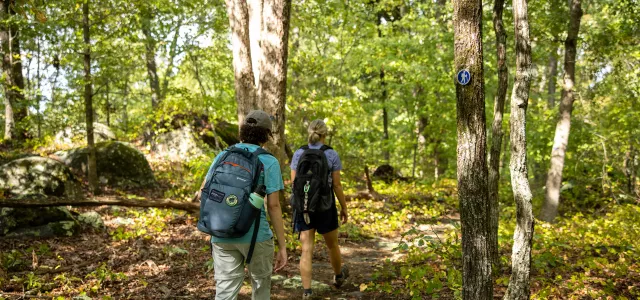 Two hikers on trail