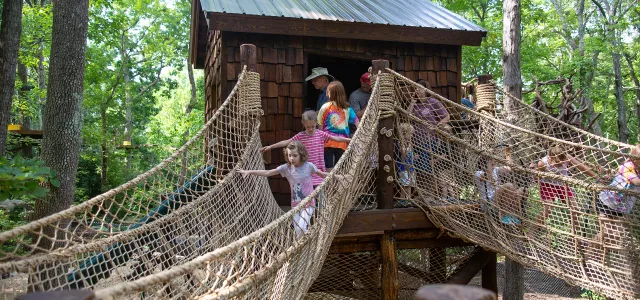 Treehouse Trek with children