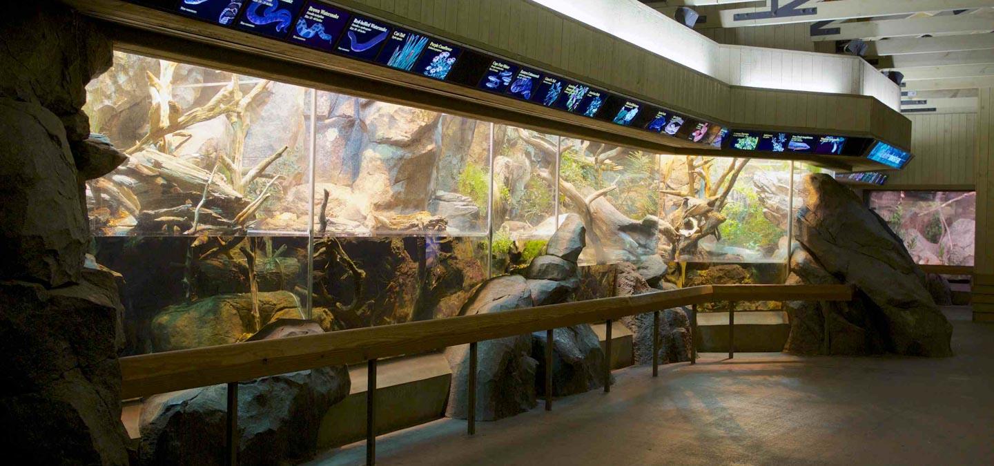 Streamside Habitat North Carolina Zoo