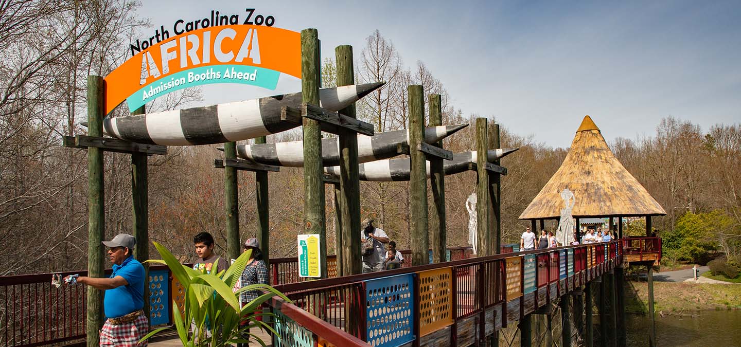 North Carolina Zoo Announces RecordBreaking Attendance of 1 Million