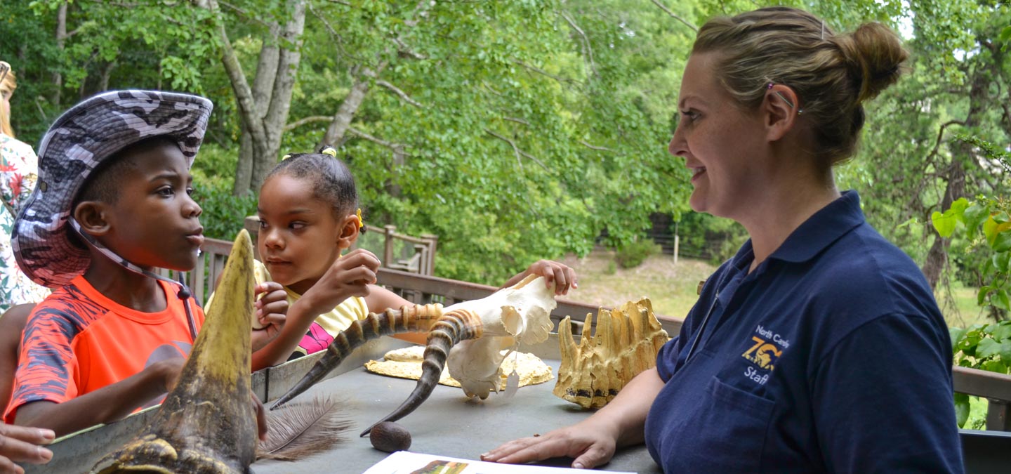 Education North Carolina Zoo